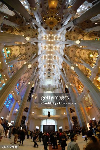 60 Sagrada Familia Ceiling Stock Photos, High-Res Pictures, and Images ...