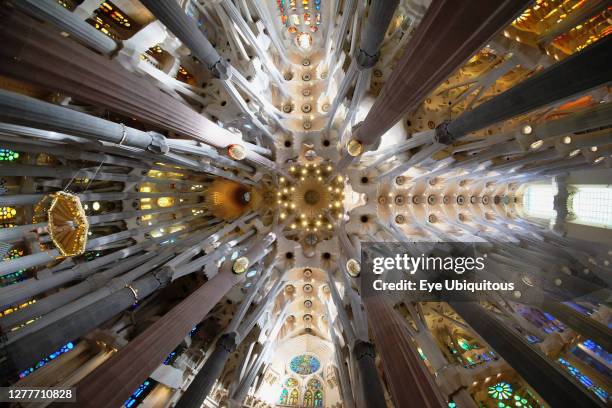 52 Sagrada Familia Ceiling Stock Photos, High-Res Pictures, and Images ...