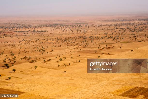 Sub Saharan Ridgeback Sub Saharan Africa Desert Photos and Premium High Res Pictures - Getty ...