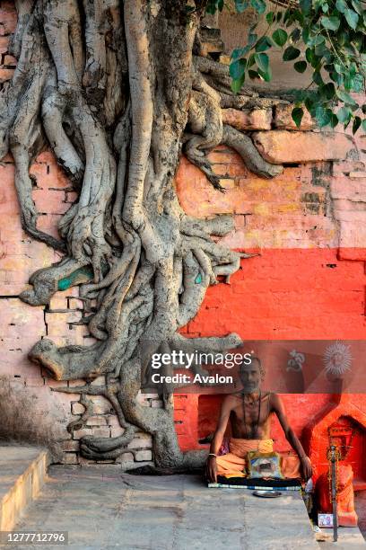 Sadhu and tree roots, Varanasi, India.