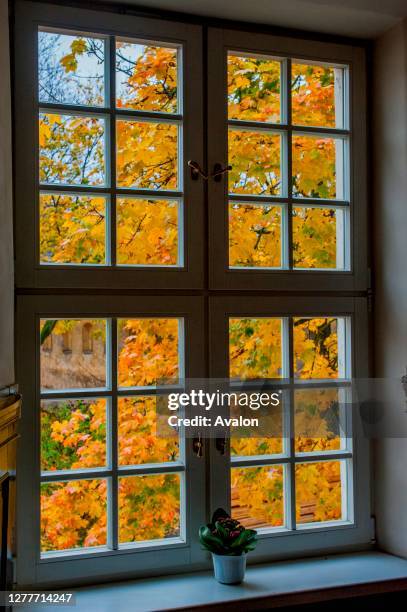 Fall Tree Window View Autumn View Window Photos and Premium High Res Pictures - Getty Images