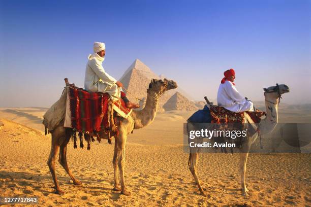 Pyramids Camel Riding 63 Farm Animal Pyramid Stock Photos, High-Res Pictures, and Images ...