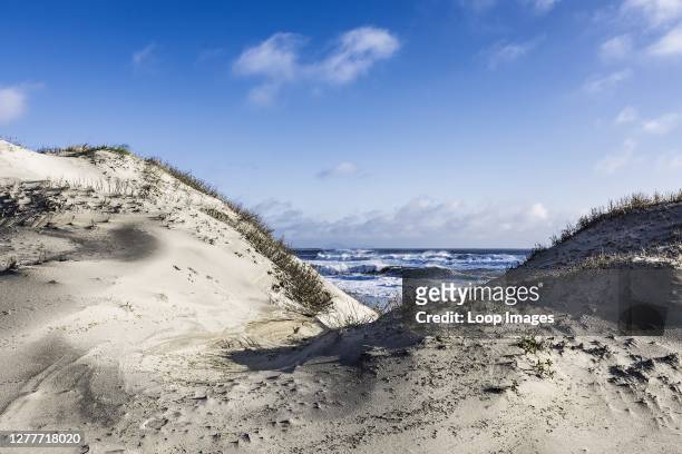 Dunes and beach in the Outer Banks of North Carolina.
