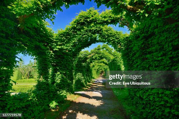 Ireland, County Offaly, Birr Castle current home of the 7th Earl of Rosse, The Hornbeam Cloister Hedges in the castle gardens.