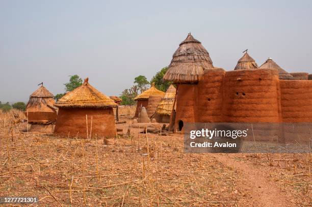 Tameri City Tammari People Photos and Premium High Res Pictures - Getty Images