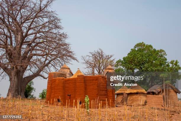 Tameri City Tammari People Photos and Premium High Res Pictures - Getty Images