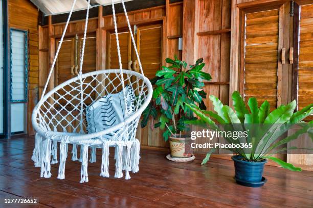 designer hanging chair near tropical houseplants interior design - hanging chair stock pictures, royalty-free photos & images