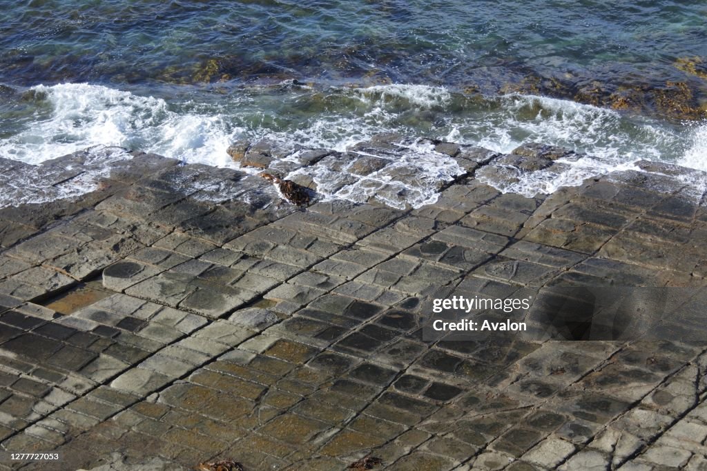 Tessellated Pavement in Tasman Peninsula Tasmania Australia.