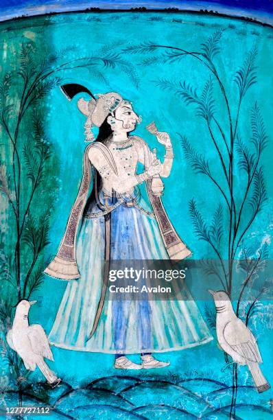 Mahraga Rabbit 242 Maharaja Bundi Stock Photos, High-Res Pictures, and Images - Getty ...