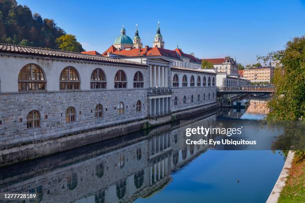 Slovenia, Ljubljana, Plecnik Colonnade and Central Market with the Cathedral of St Nicholas behind and the Ljubljanica River in the foreground.
