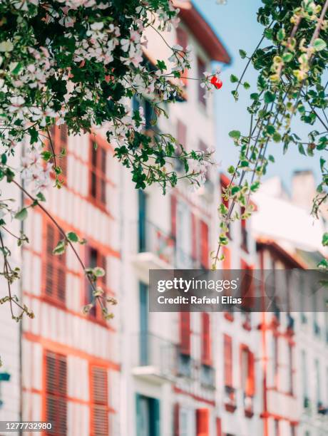 branches in the street, facades in the background - pais vasco stock-fotos und bilder