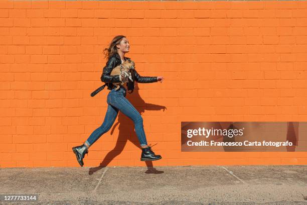 woman running with her chihuahua dog i - dog jump stock-fotos und bilder