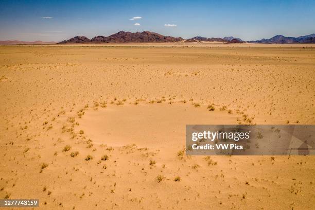 An overhead look of the mystical fairy circles , Namib-Naukluft Park, Namibia.