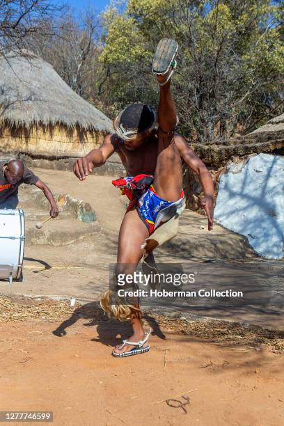 Zulu dancers in traditional costume, dancing the Ingoma warrior dance. Creda Mutwa village, South Africa