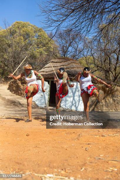 Zulu dancers in traditional costume, dancing the Ingoma warrior dance. Creda Mutwa village, South Africa