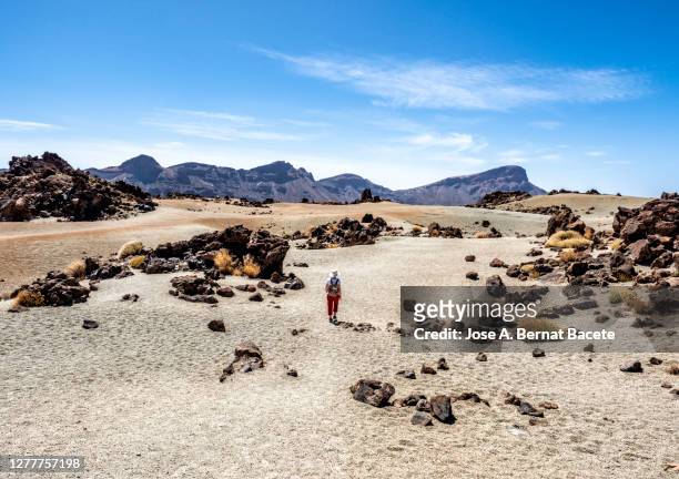 hiking woman walking through a volcanic mountain landscape in tenerife, canary islands. - volcanic landscape stock pictures, royalty-free photos & images