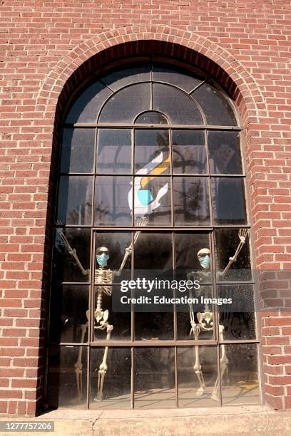 Skeletons set up in window display as an example for others by social distancing while wearing masks.