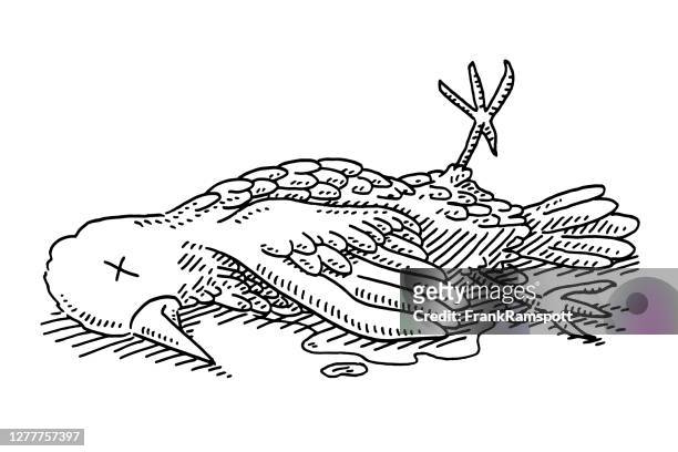 Dibujo De Pájaro Muerto Ilustración de stock - Getty Images