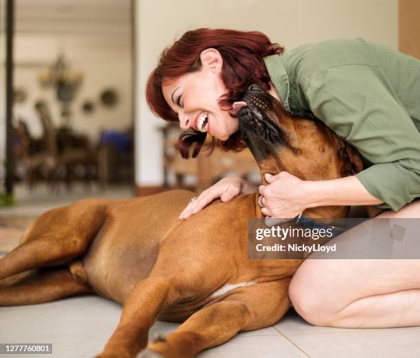 an unconditional kind of love - dog licking stock pictures, royalty-free photos & images