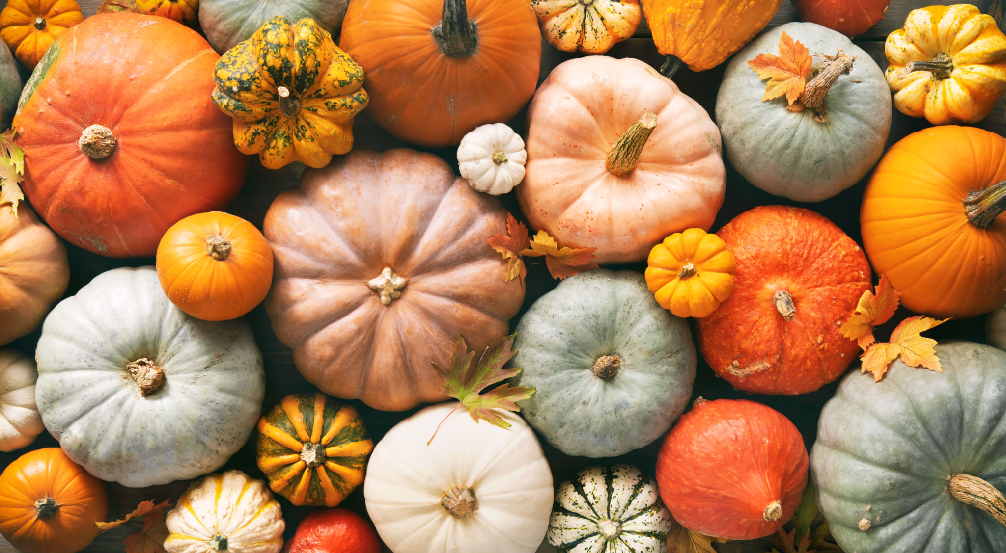 autumn harvest foods