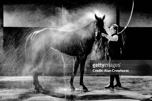 Horse is hosed down after racing at Warwick Racecourse on October 01, 2020 in Warwick, England. Owners are allowed to attend if they have a runner at...