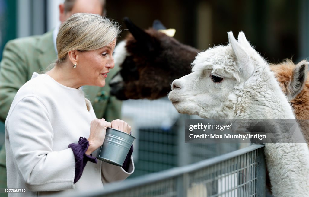 The Earl And Countess Of Wessex Visit Vauxhall City Farm