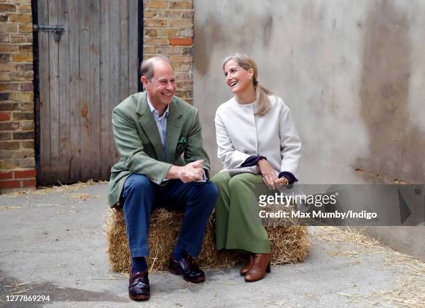 Prince Edward, Earl of Wessex and Sophie, Countess of Wessex sit on a hay bale during a visit to Vauxhall City Farm on October 1, 2020 in London,...