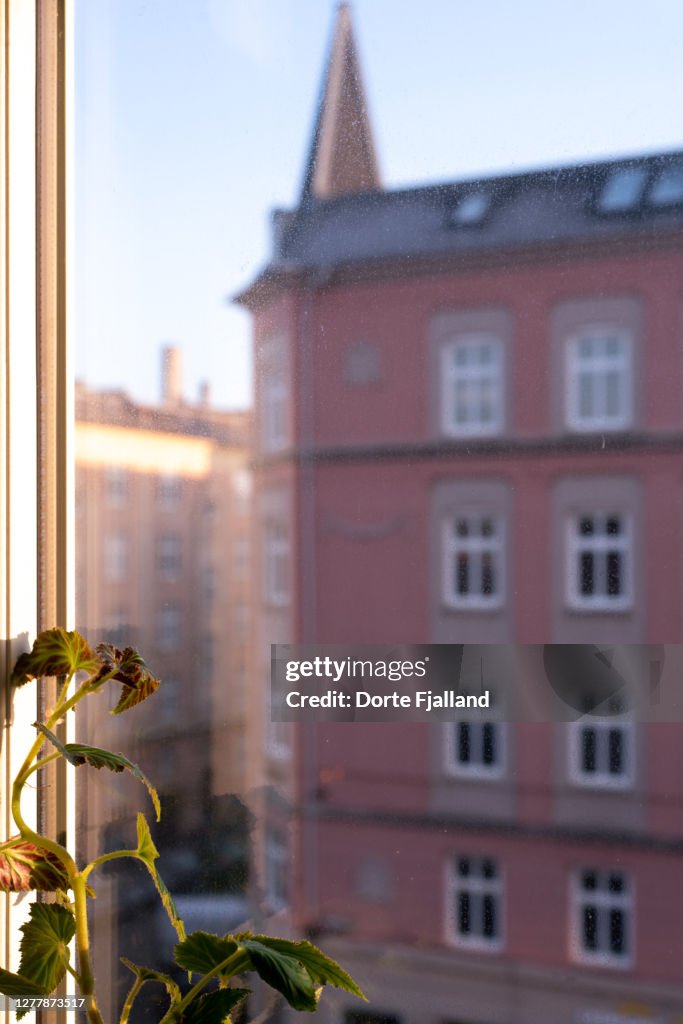 Look through a stained window on the pink facade of an apartment building