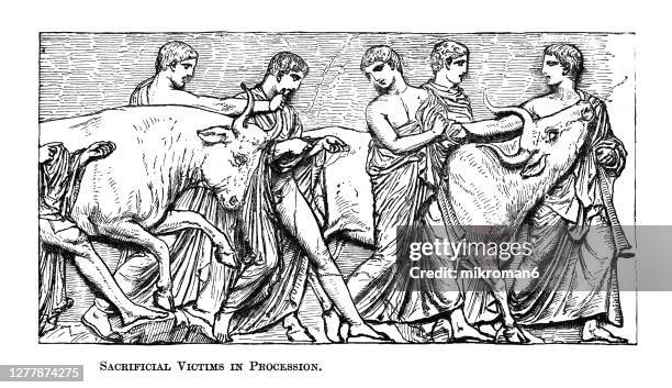 old engraved illustration of sacrificial victims in procession, panathenaic procession - jugada de sacrificio fotografías e imágenes de stock
