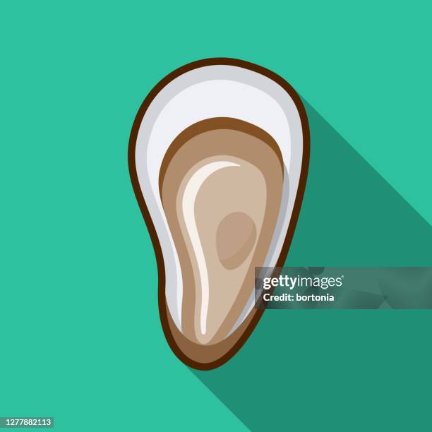 Ilustraciones, imágenes clip art, dibujos animados e iconos de stock de Ostion - Getty Images Ilustraciones, imágenes clip art, dibujos animados e iconos de stock de Ostion - Getty Images