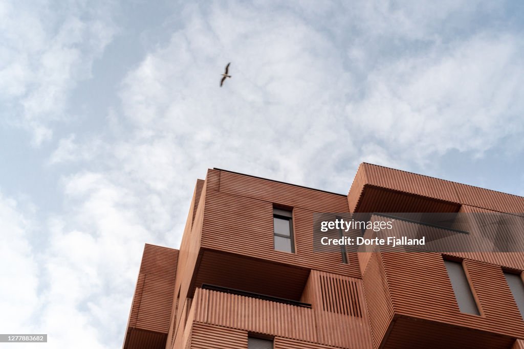 Upper part of terracotta colored modern apartment building against a cloudy blue sky with a single seagull