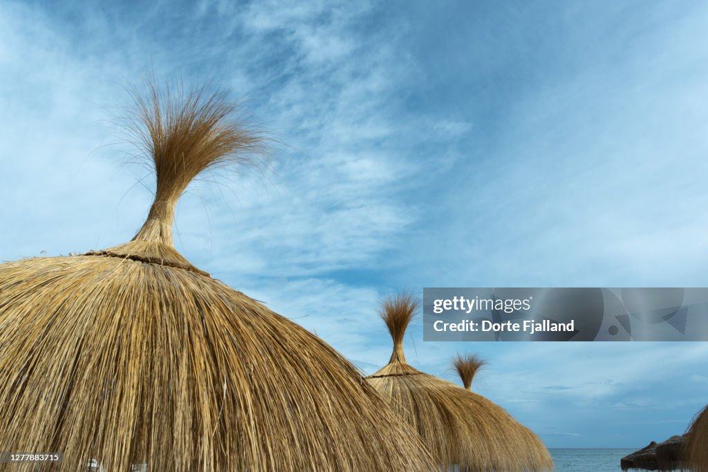 Top of some beach parasols against an almost blue sky