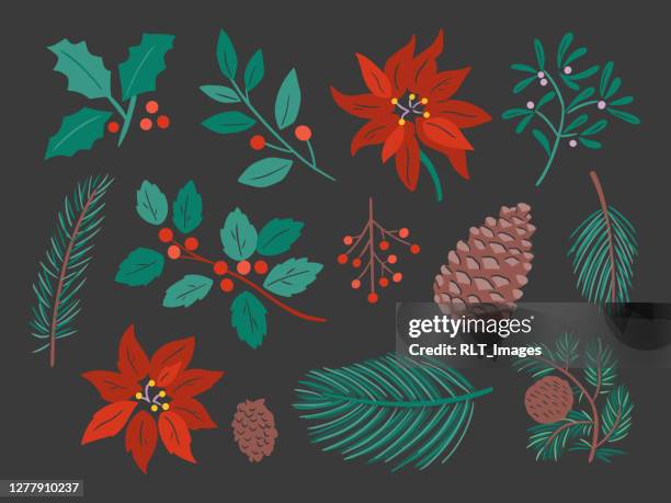 illustration of assorted winter botanicals — hand-drawn vector elements - berries black background stock illustrations