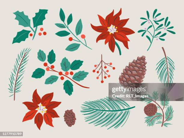 ilustraciones, imágenes clip art, dibujos animados e iconos de stock de ilustración de varios botánicos de invierno— elementos vectoriales dibujados a mano - plant stem