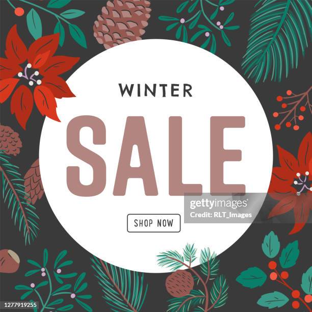 winter sale design template with hand-drawn vector botanical graphics - winter sale stock illustrations