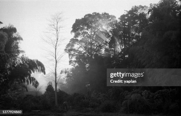 Hasuda 34 Hasuda Saitama Stock Photos, High-Res Pictures, and Images - Getty ...