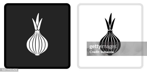 onion icon on black button with white rollover - onion stock illustrations