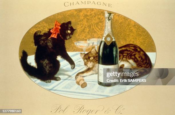 Carte illustrée pour le champagne POL ROGER, avec une peinture de deux chats, une bouteille et deux verres. Reproduction effectuée dans la collection...