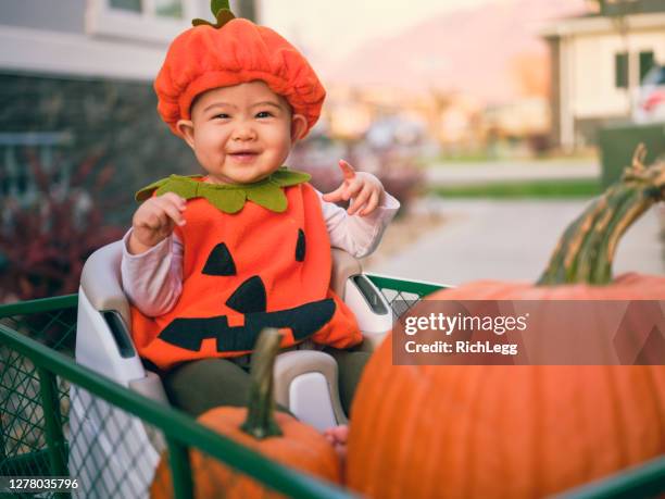 halloween children trick or treating - menina fantasia bonita imagens e fotografias de stock