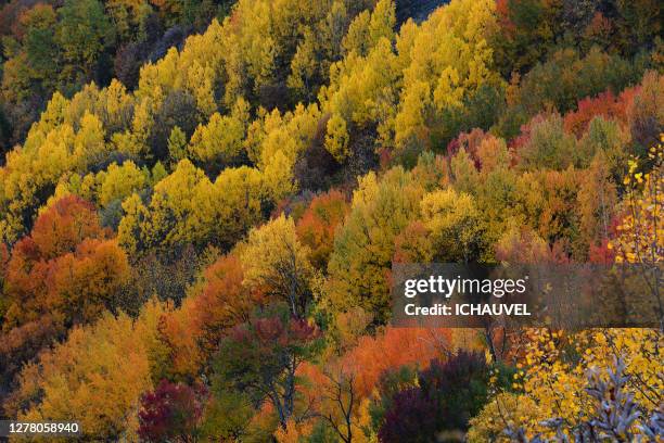 autumns colours france - ecrin national park stock pictures, royalty-free photos & images