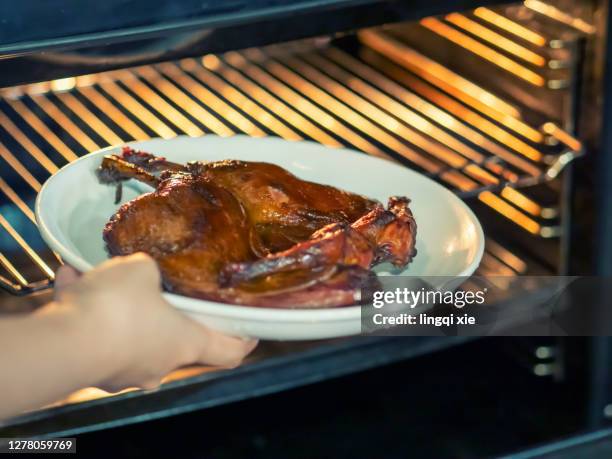 the woman puts the dark red duck brushed with sauce into the oven to roast - roasted red onion fotografías e imágenes de stock