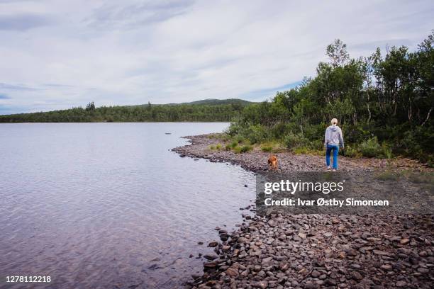 mujer paseando a su perro solo en la naturaleza por la orilla del lago - orilla del lago fotografías e imágenes de stock