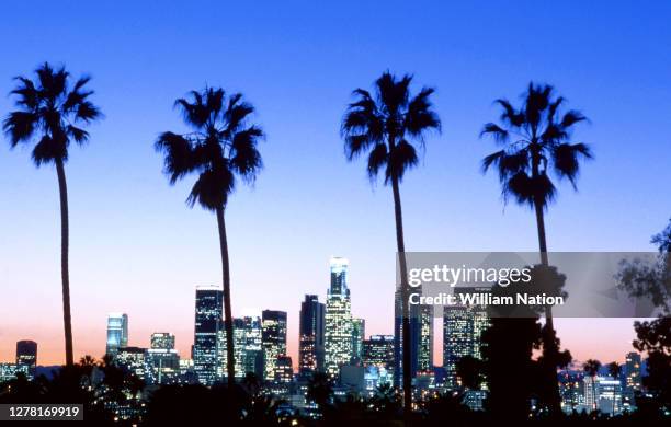 General view of palm trees with the view of the downtown Los Angeles skyline at dusk circa March, 1991 in Los Angeles, California.