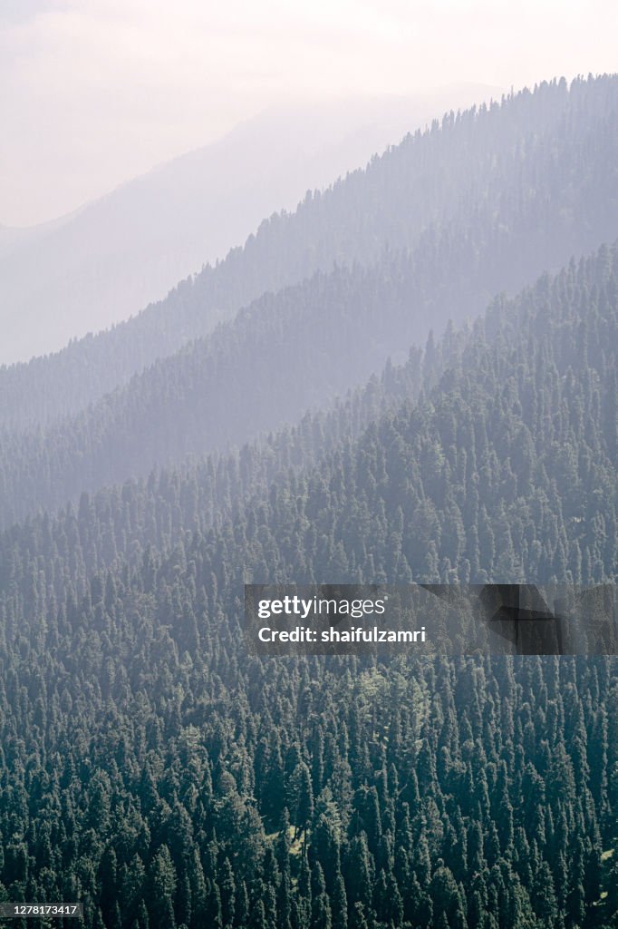 Morning view of Gulmarg valley at Kashmir, India.