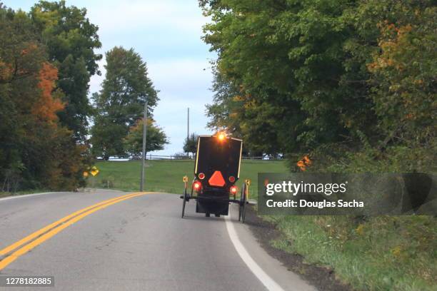 flashing safety lights on a amish buggy - amish buggy stock pictures, royalty-free photos & images