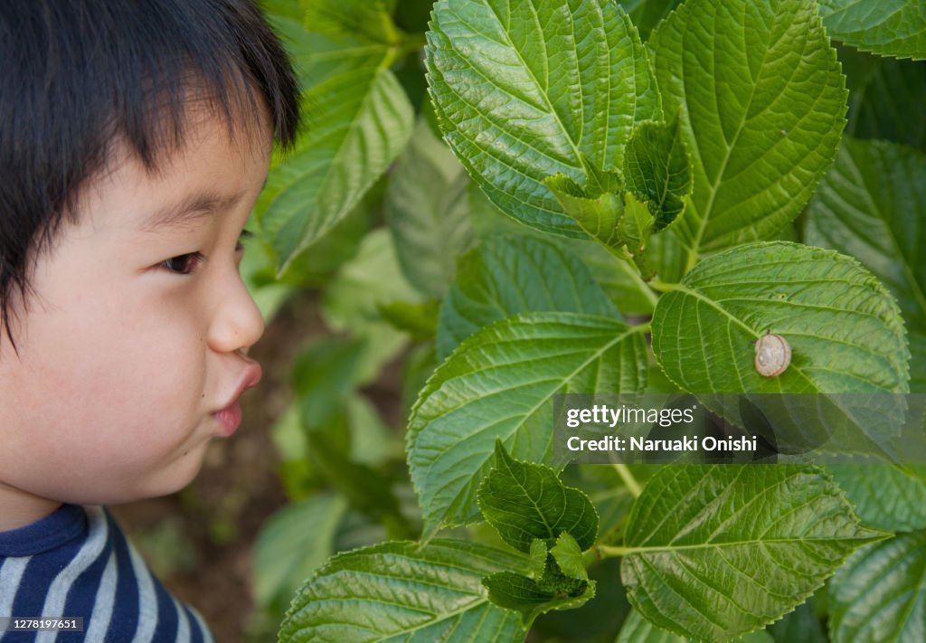 A child staring at a snail on a leaf