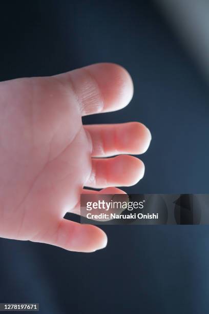 two-year-old toes - toeprint stock pictures, royalty-free photos & images