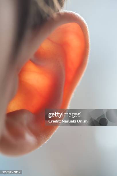 infant ears that can be seen through transmitted light - human ear close up stock pictures, royalty-free photos & images