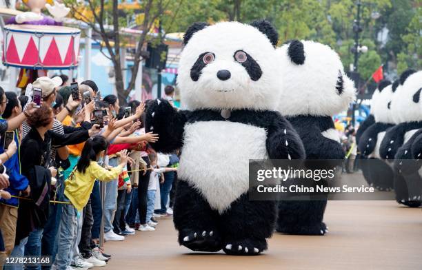 Panda Mid Fall Happy Panda Bear Photos and Premium High Res Pictures - Getty Images