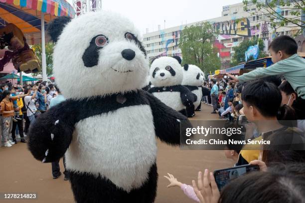 Panda Mid Fall Happy Panda Bear Photos and Premium High Res Pictures - Getty Images
